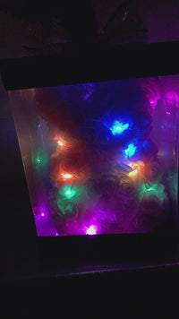 Load and play video in Gallery viewer, “LIT” Teddy
