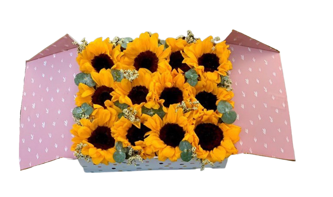 Decorative Sunflower Box | Jungle Fever Plant Co.